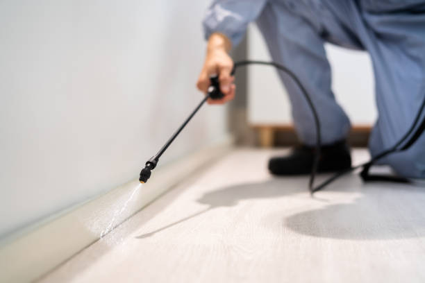 Licensed Cockroach Control service in Stanleytown, VA - Nex Pest Control
